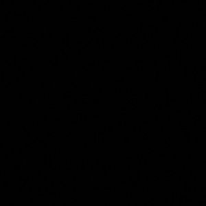 Meet your Posher, Levontay